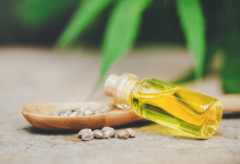 How Can I Start My Own Cbd Oil Company