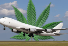 Can You Fly With Cbd Delta 8