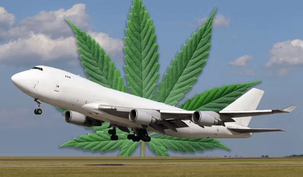 Can You Fly With Cbd Delta 8