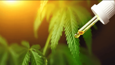 What Is a Cbd