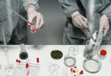 cbd and drug testing