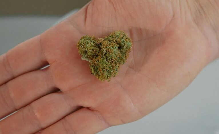 cbd derived from plants