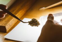 cbd drug test australia