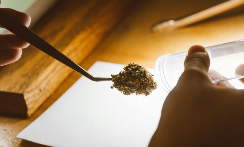 cbd drug test australia