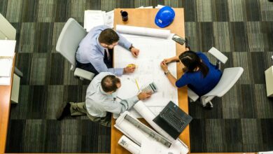 cbd group overview summary