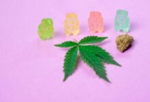 cbd gummies for dogs