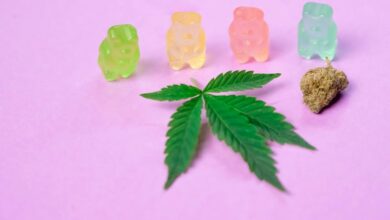 cbd gummies for dogs