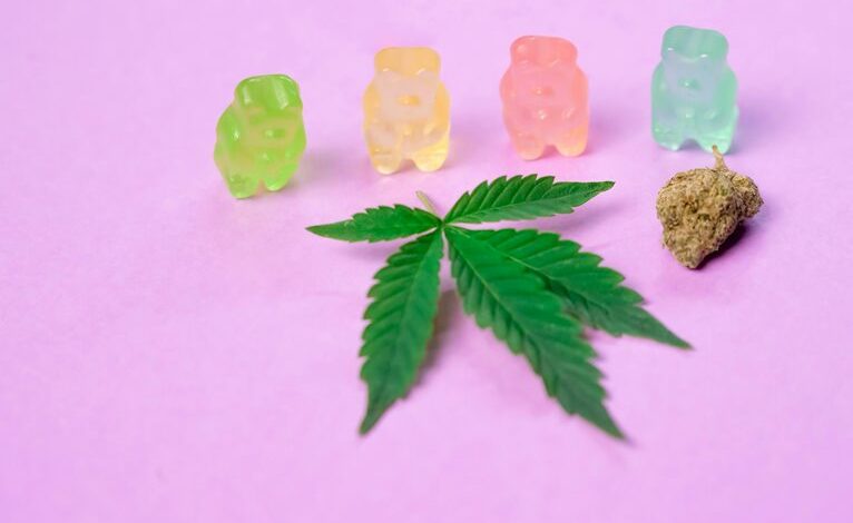 cbd gummies for dogs