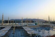 cbd legality in islam