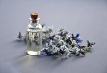 cbd oil benefits for dogs