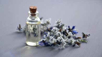 cbd oil benefits for dogs