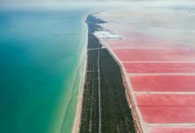 cbd products airplane regulations