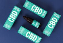 cbd s effect on testosterone
