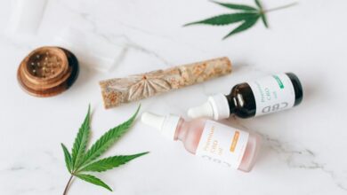 cbd yield per plant
