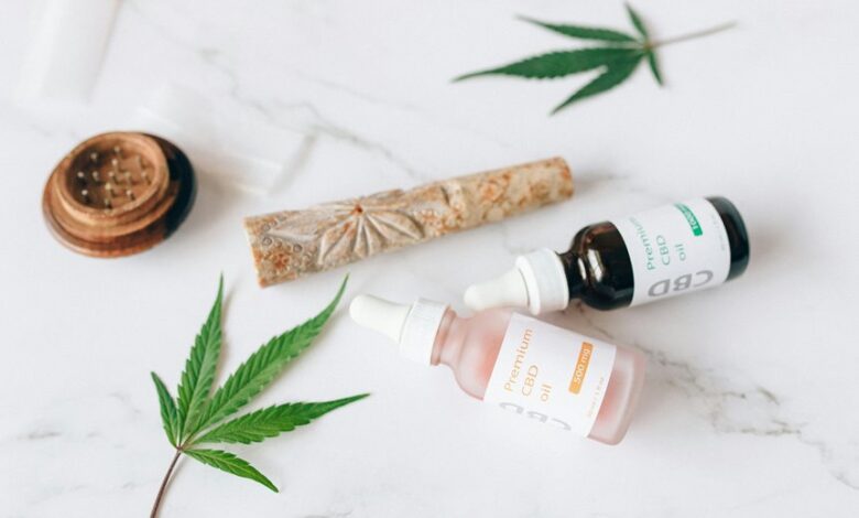 cbd yield per plant