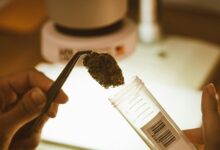 decarboxylate cbd for potency