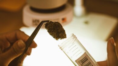 decarboxylate cbd for potency