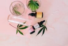 extracting cbd from hemp