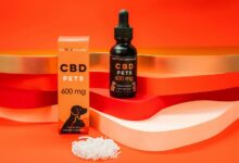 giving cbd oil cats