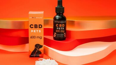 giving cbd oil cats