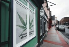 license requirements for cbd