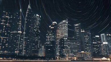 traveling internationally with cbd