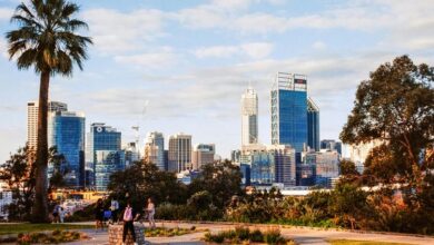 where to purchase cbd