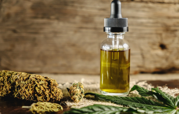 Cannabis Marketing Agency Branding for Long-Term Success