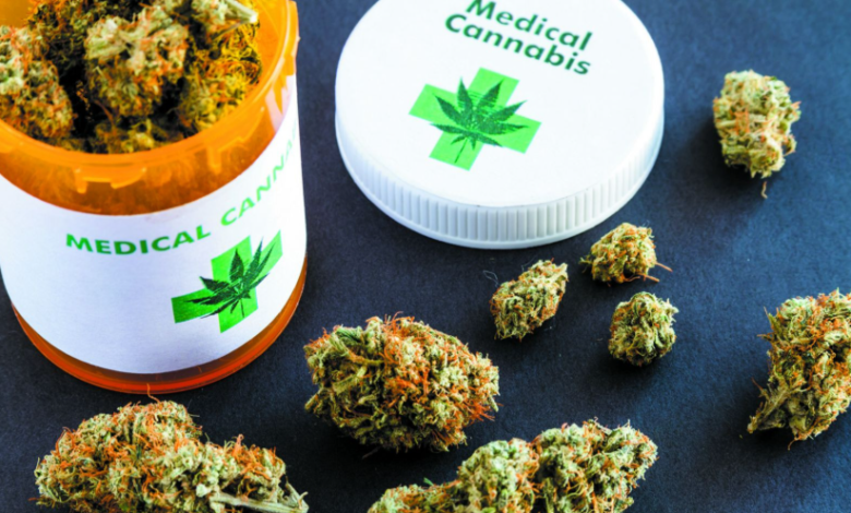Cannabis Marketing Agency Expertise in Social Media Campaigns
