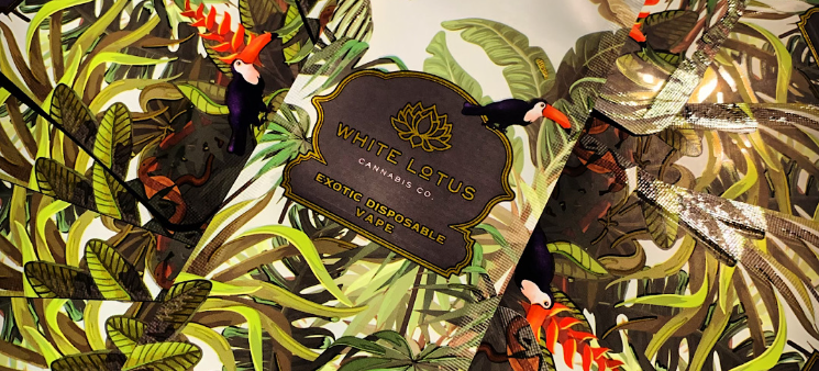 Discover Our Heavy-Duty Mylar Bag Printing and Packaging for Ultimate Freshness and Long-Term Cannabis Storage