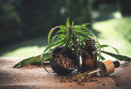 Popular Cannabis Flower Choices in London in 2026