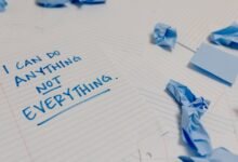 everything you need to know
